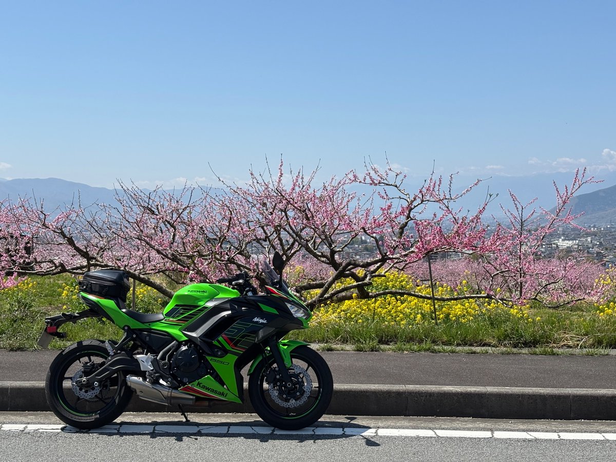 いつも通り、鶴峠→小菅→大菩薩→フルーツラインへ。春ですねぇ
#Ninja650