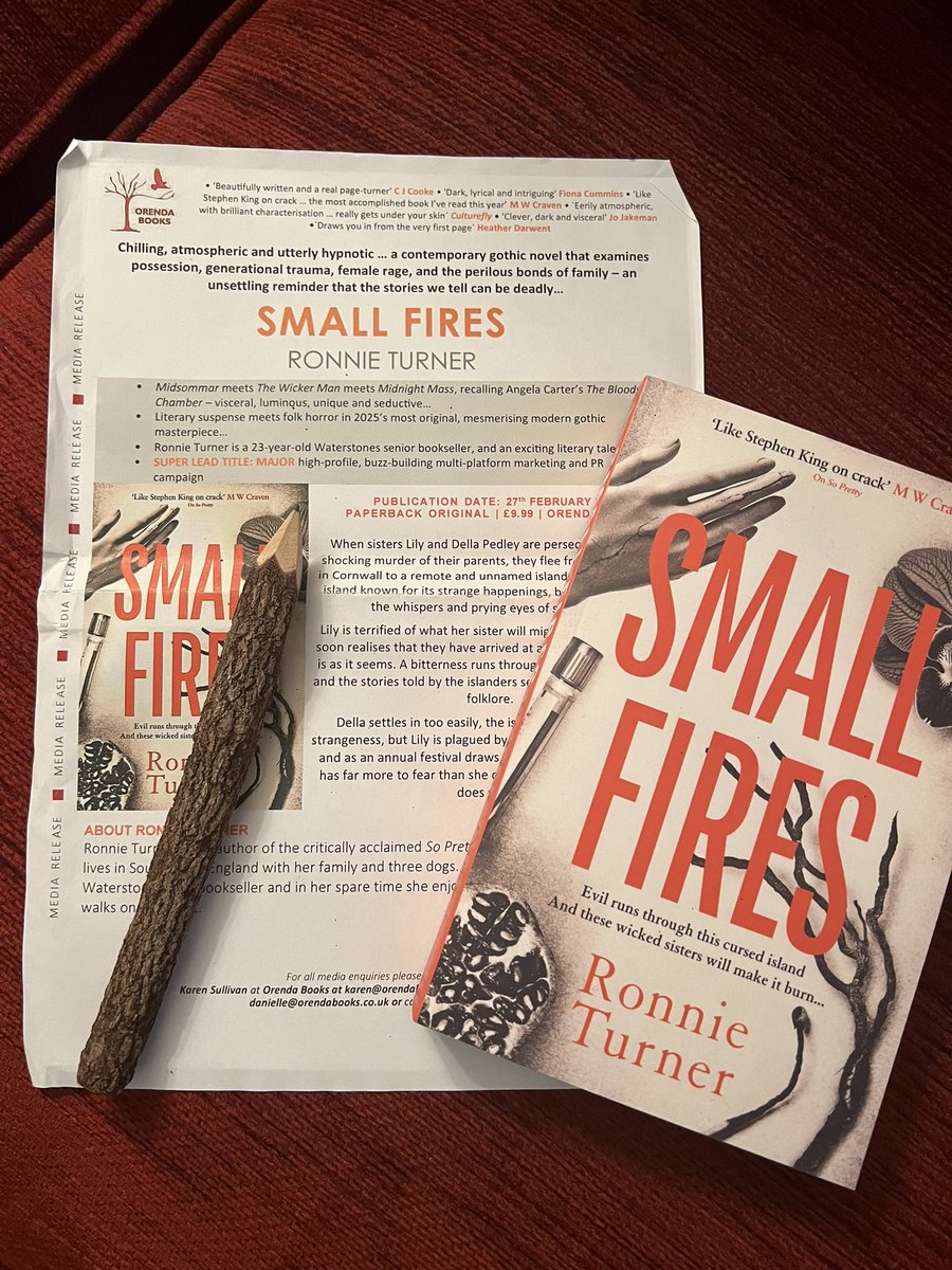 SMALL FIRES by <a href="/Ronnie__Turner/">Ronnie Turner</a> 

‘We hold small fires in our palms.’

Evocative of ‘The Wicker Man’ and ‘Midsommar’, SMALL FIRES is an exceptionally atmospheric and effective literary Gothic novel which engages with notions of evil, image, gods, devils and myth.

On a nameless