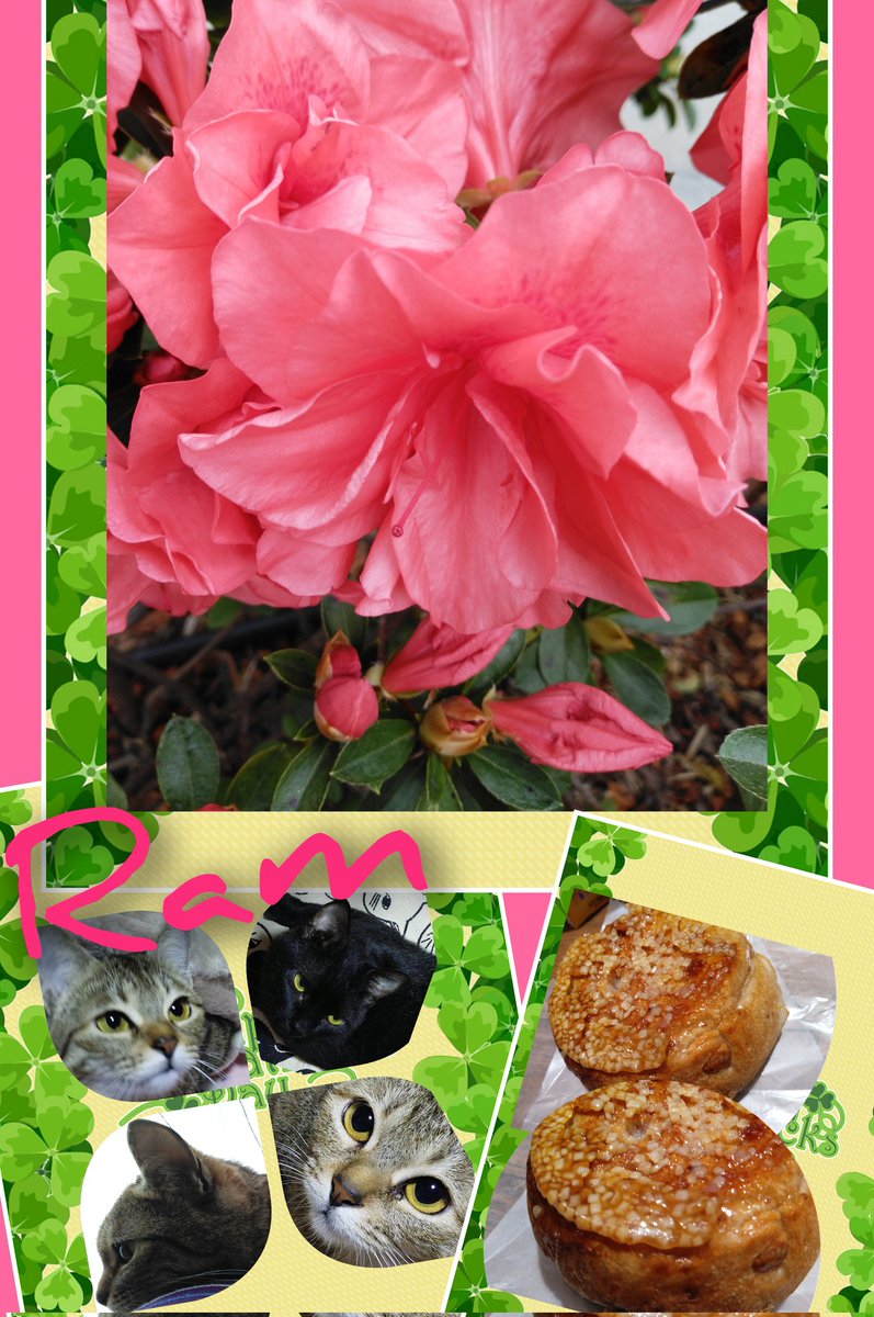 okav.com | [H有碼]小女ラムネ 第3話 ゆかたと花火と夏祭り [喵萌奶茶屋].bkj\, image size:797x1200