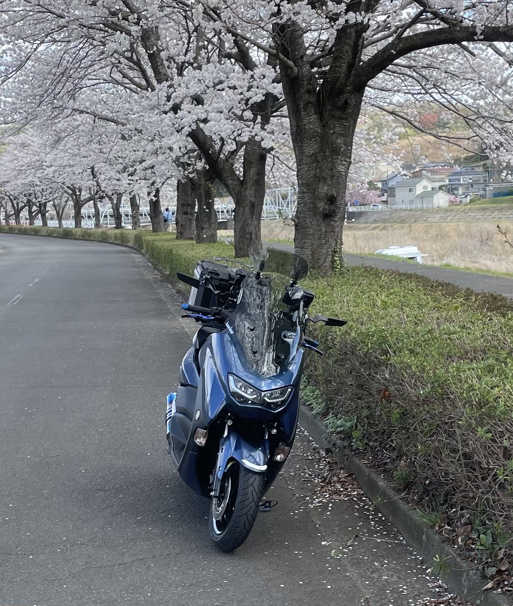 清水陽菜 (@Santiii_5_00) / Posts / X