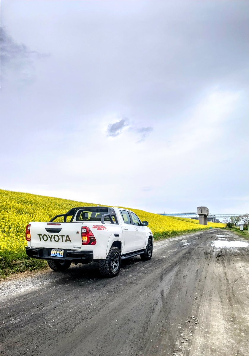s13hamavia's tweet photo. 今年は桜の満開タイミングに合わなかったなぁ🙃
菜の花はめっちゃ満開で良かった😆 https://t.co/bUUc1ZnZ4R