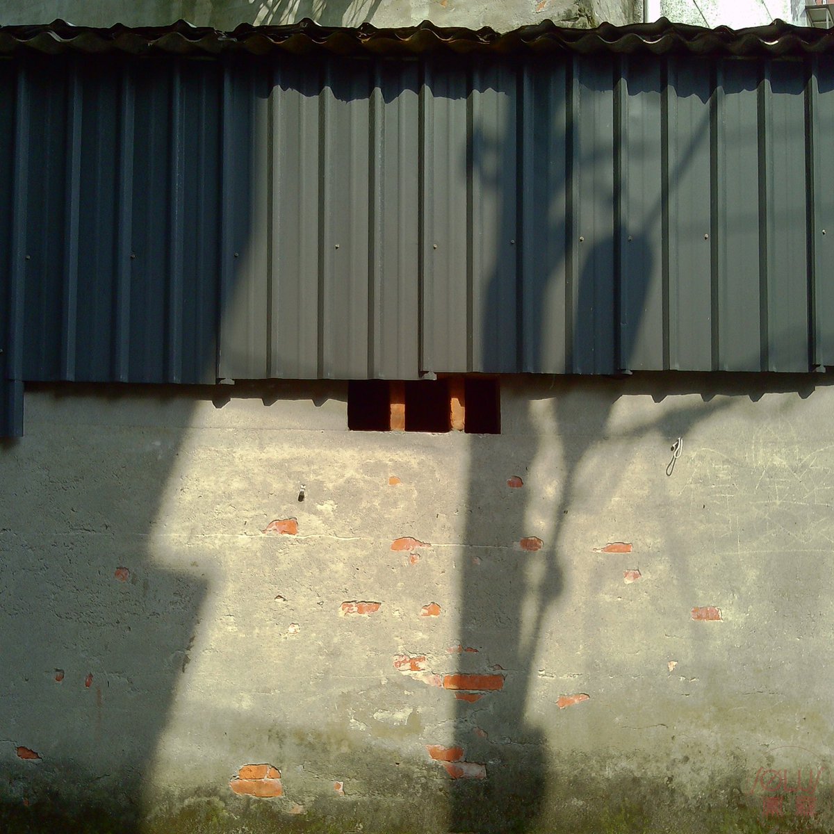 SolusLu's tweet image. 爛船也有三斤釘
Even toys are useful... sometimes

初照M1
台北スナップ
 #初照M1 #toycamera