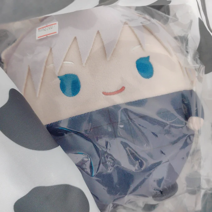 違うんですよ、ついでに寄ったメイトでこっちを見てて、シンフワユジくんの番がいないなぁ〜って思って、出来心なんです 