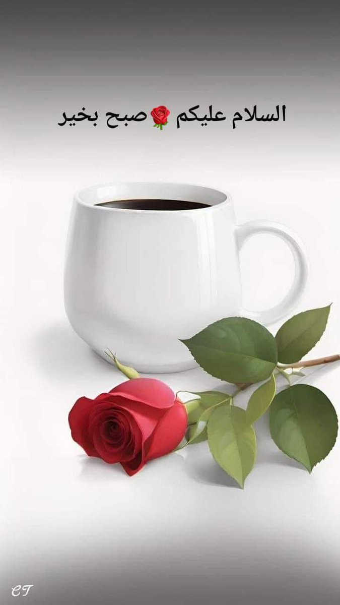 nsnsnffhsf's tweet photo. سكليف صحتي اقل سعر
https://t.co/iM8IdvYhTR https://t.co/7vDftbk009