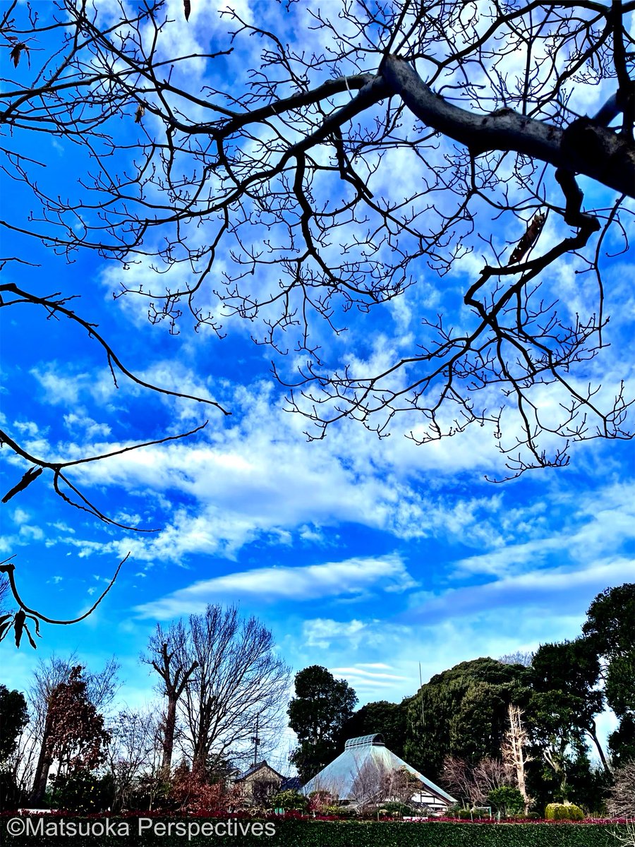 MatsuokaPView's tweet photo. Serenity Beneath the Clouds
#Photography #Art #ExploreJapan
#VisualPoetry #TranquilScenes
#NatureWhispers #SilentBeauty
#SeasonalStillness #JapaneseLandscape
#MatsuokaPerspectives https://t.co/qJxTDlmM43