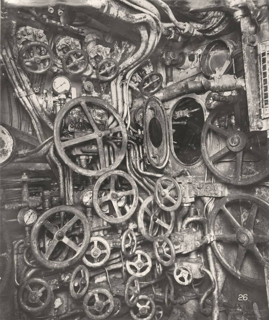 What the actual-fuck?