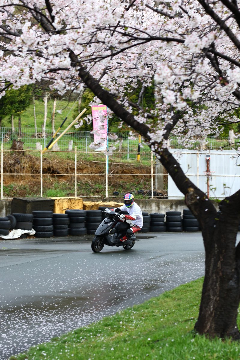 tiger_5th's tweet image. 初skc！楽しかったです
皆様ありがとうございました
ぜひ安曇野にも遊び来てくださいね

#桜を見る会 #だもんで