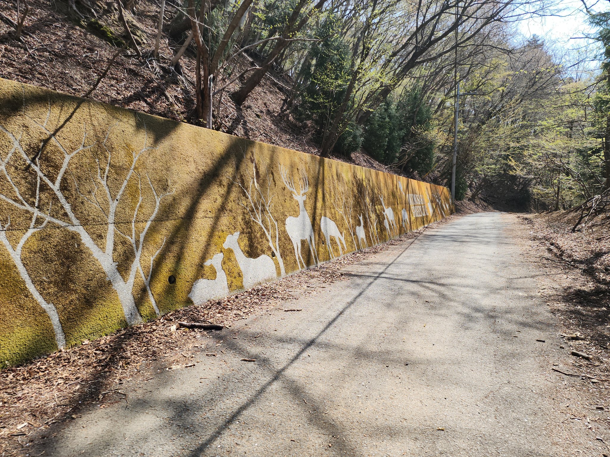 油絵（狩場坂峠） 油絵（狩場坂峠） 籠坂峠 | GANREF