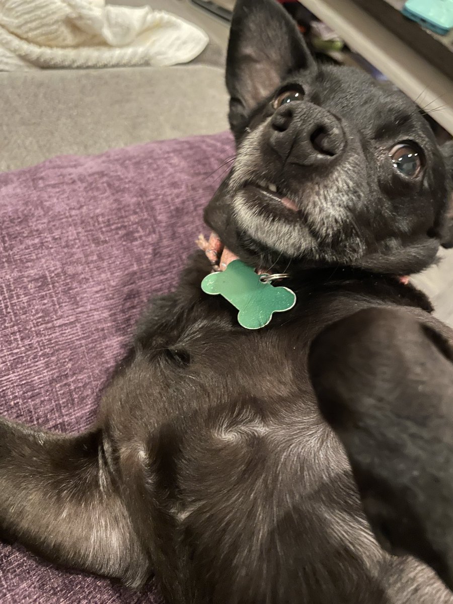 His teefs ❤️