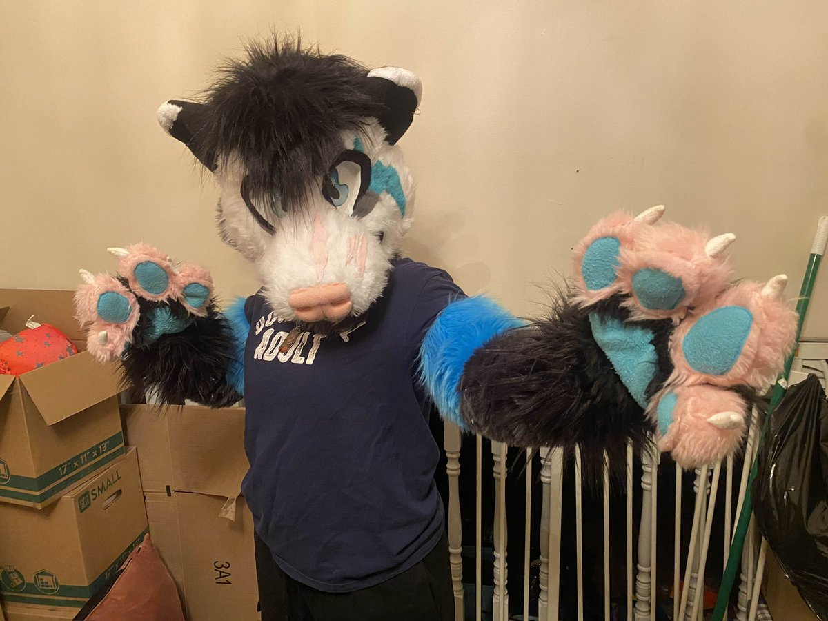 CuttingPuppy's tweet photo. I’m loooking for trades on my fursuit.
Does not come with character rights 
(But feel free to keep the markings because I will be doing a HEAVY redesign of mori)

Dm if interested!!
#fursuit #fursuitsale #fursuitfortrade #fursuittrade https://t.co/bNNLfpc6aD