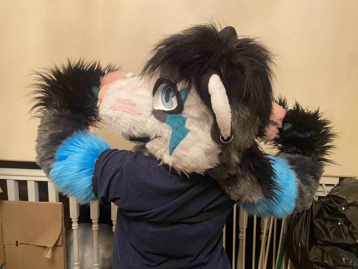 CuttingPuppy's tweet photo. I’m loooking for trades on my fursuit.
Does not come with character rights 
(But feel free to keep the markings because I will be doing a HEAVY redesign of mori)

Dm if interested!!
#fursuit #fursuitsale #fursuitfortrade #fursuittrade https://t.co/bNNLfpc6aD