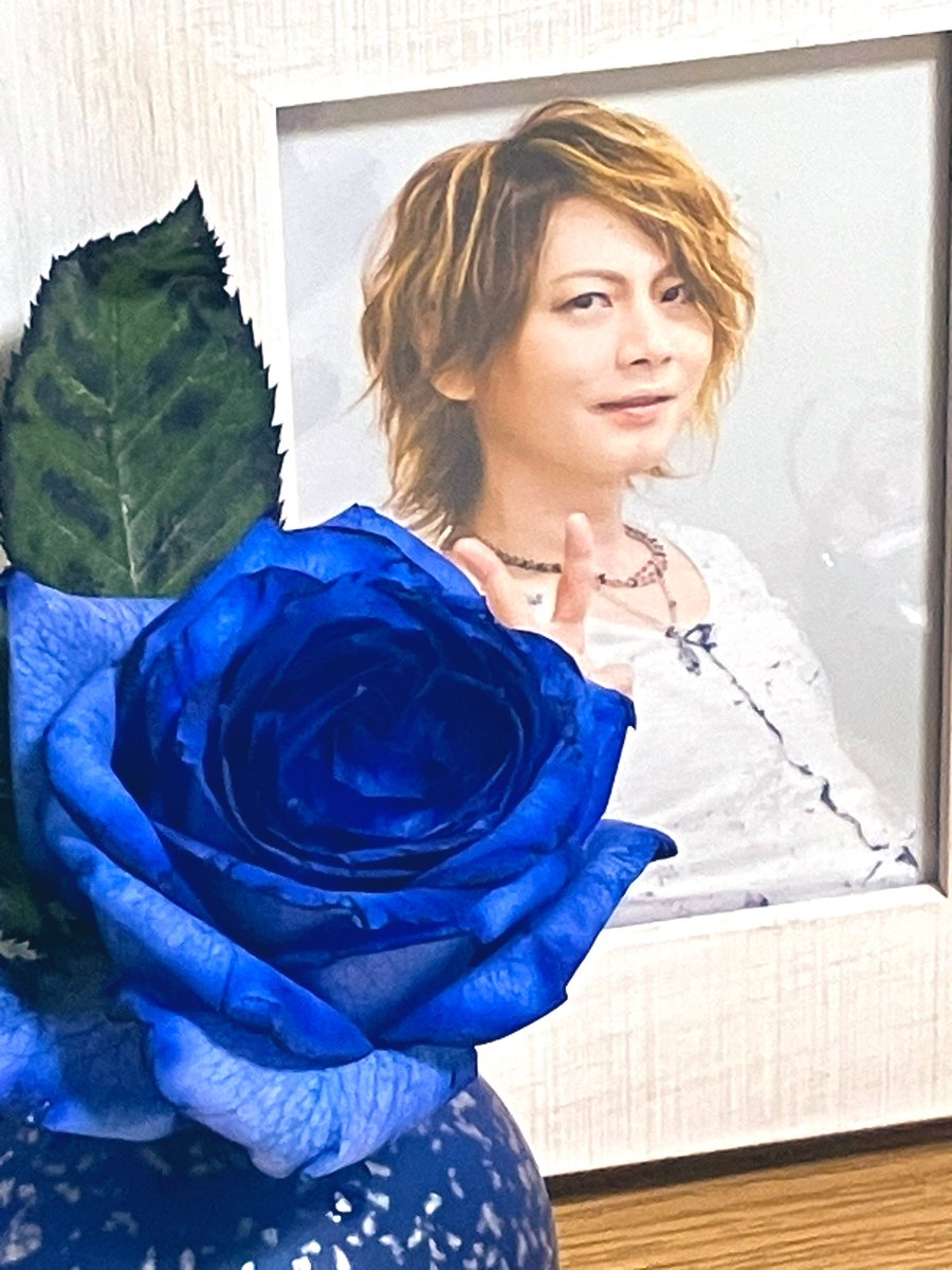 sayarosa's tweet photo. Happy Birthday KOJI❣

唯一無二の青い薔薇のような人✨

同じ時代に生きて、出逢えて本当に良かった…

出逢わせてくれたTakamiyに感謝✨

#KOJI　#ラクリマクリスティ　
#ALvino　#ALICEIN MENSWEAR https://t.co/7SGg0Ofogw