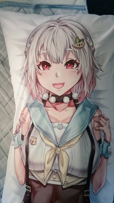 頼んでた王の抱き枕届いたぜ～🙌 