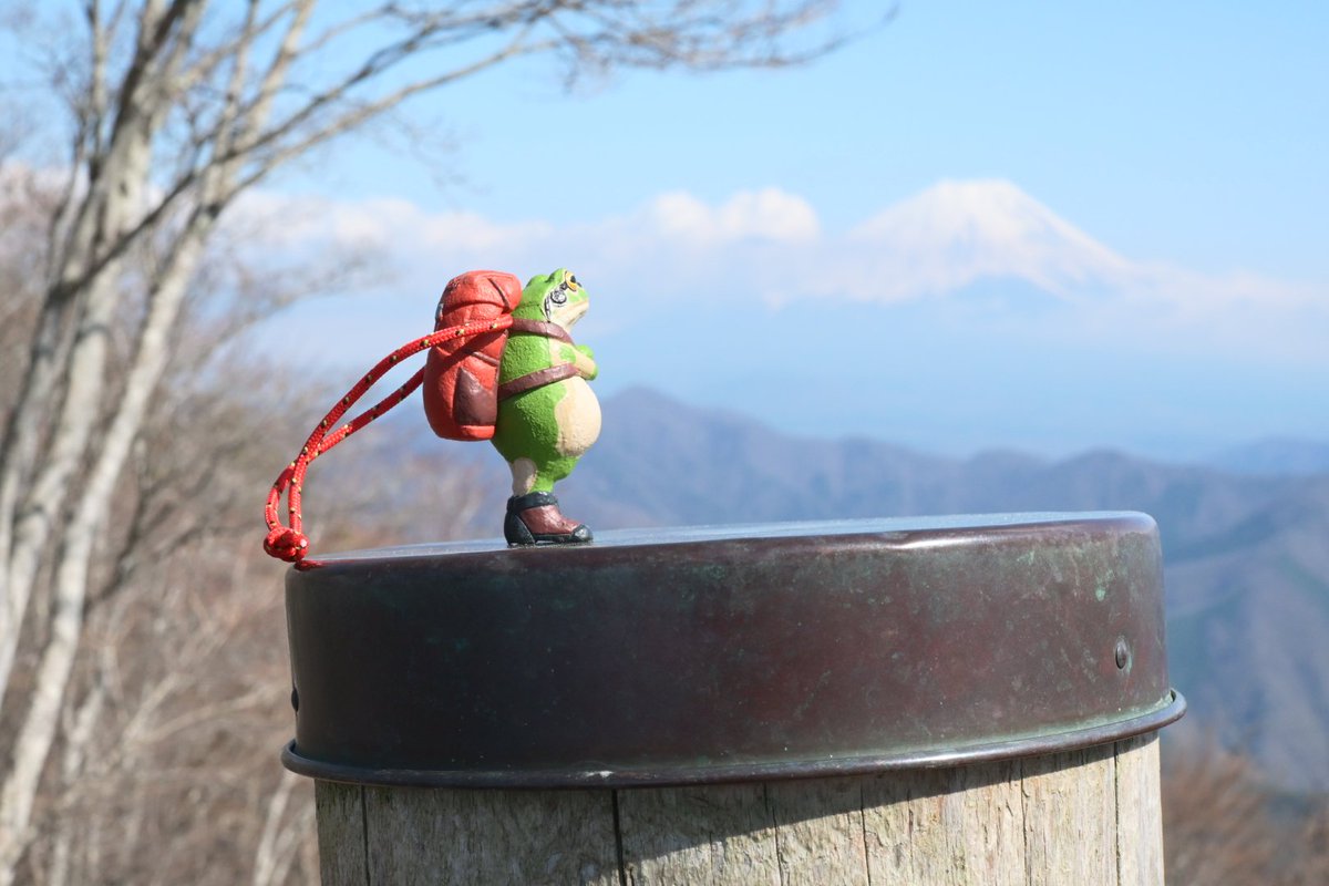 a_mw's tweet photo. 四尾連湖の山に来た https://t.co/9OOynWseYm