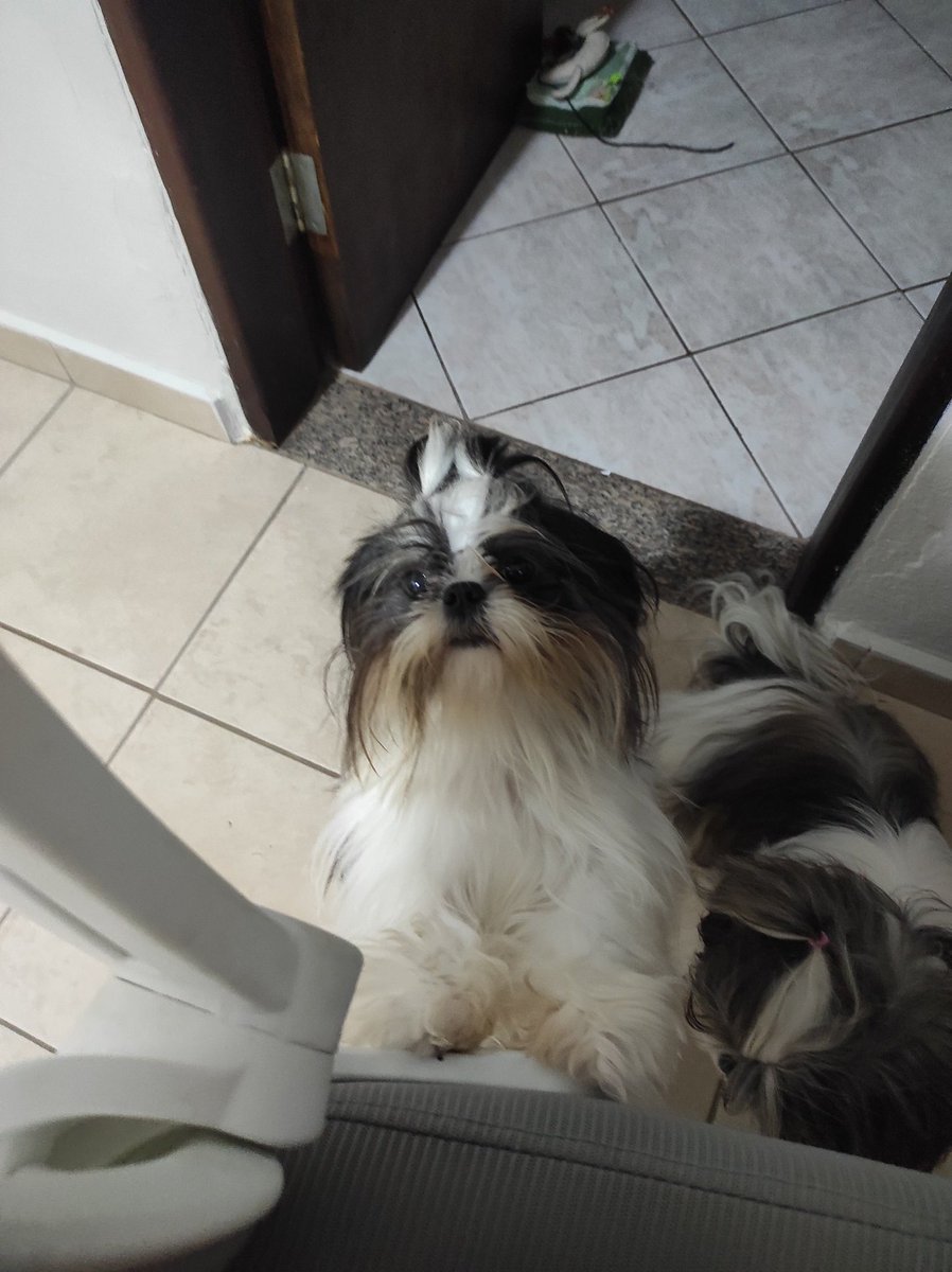 ifeelsilent's tweet photo. @nhsoir Fotos recentes da diva 
Ela é mtmt pequena 🥹 https://t.co/Y0qenaGgwp
