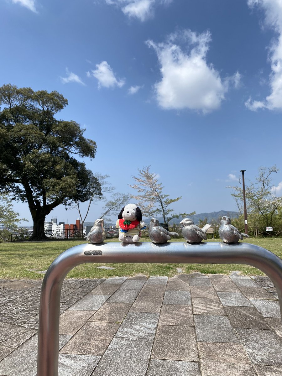 tmiya_nu's tweet photo. https://t.co/qZttJqwSTL