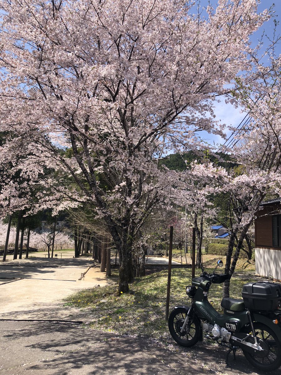 vmax347's tweet photo. 桜ツーリングとソフトクリーム https://t.co/9lLsFzhM9d