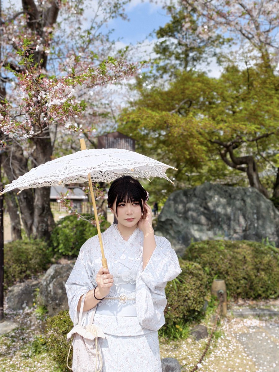 太君，家鄉のSAKURA開了