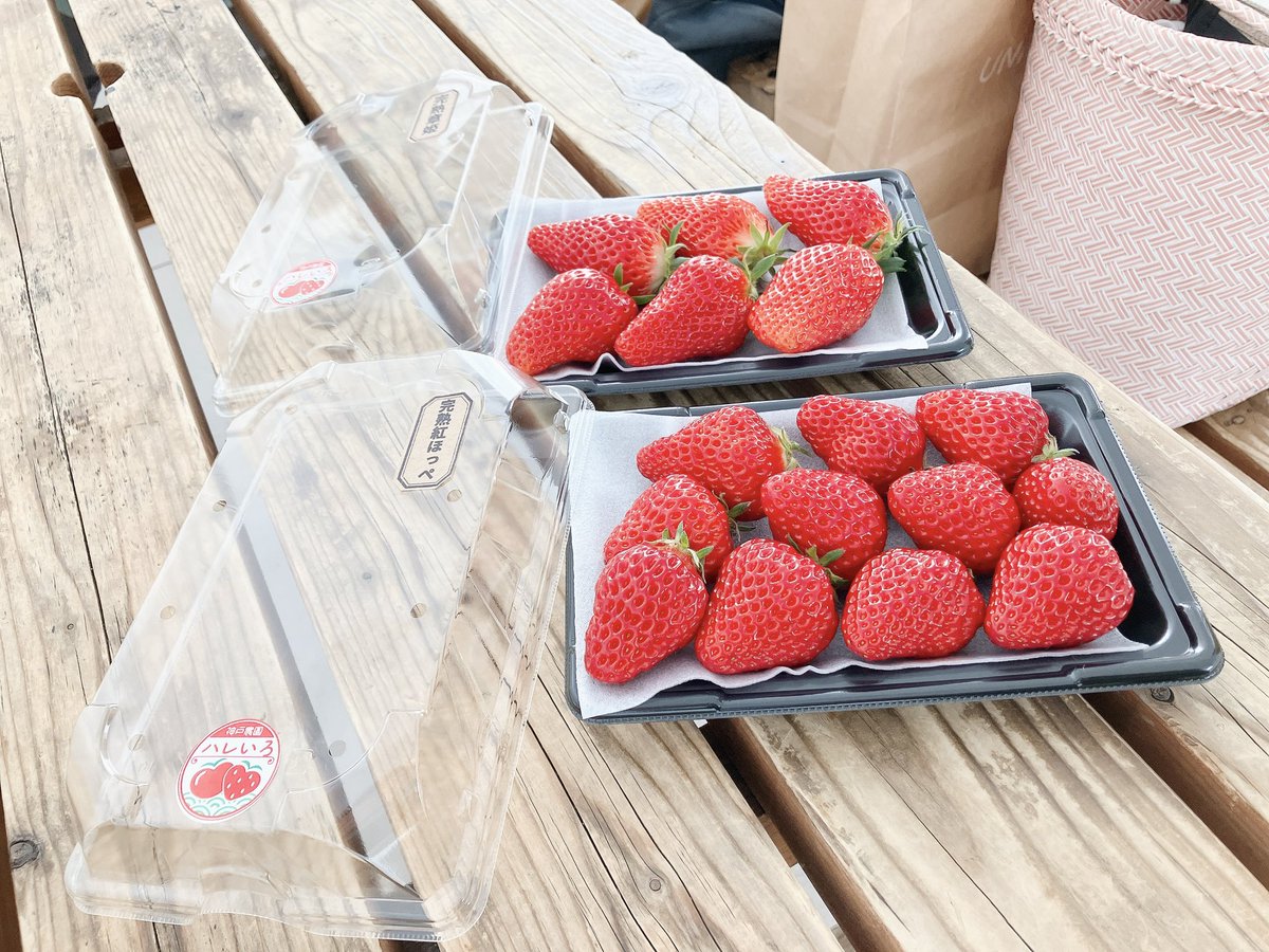 Orientale_319's tweet photo. アカペライベントでなぜか朝採れ苺を配りまくるつーじー🍓 https://t.co/rslI2aBVVo