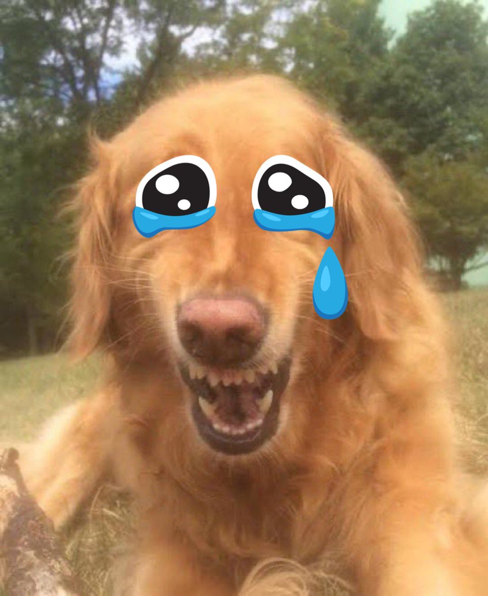 월요일 아기새 tweet media