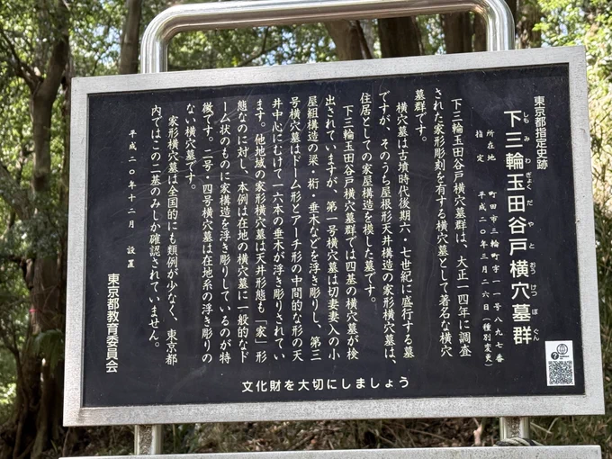 本日は月一の老人会ハイキングの付き添いバイト。今日は町田三輪の二輪草群 前日の雨でドロドロ道なので凄い勢いで転ぶわし 1万5千歩、疲れた
