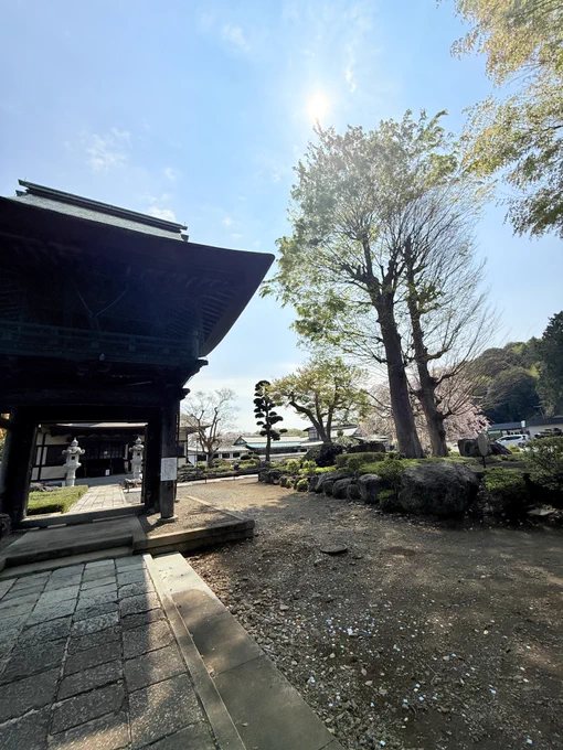 本日は月一の老人会ハイキングの付き添いバイト。今日は町田三輪の二輪草群 前日の雨でドロドロ道なので凄い勢いで転ぶわし 1万5千歩、疲れた