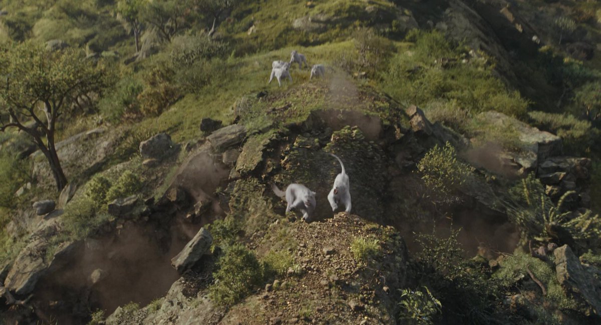 Nicole Padula (@nicolepadula2) on Twitter photo 