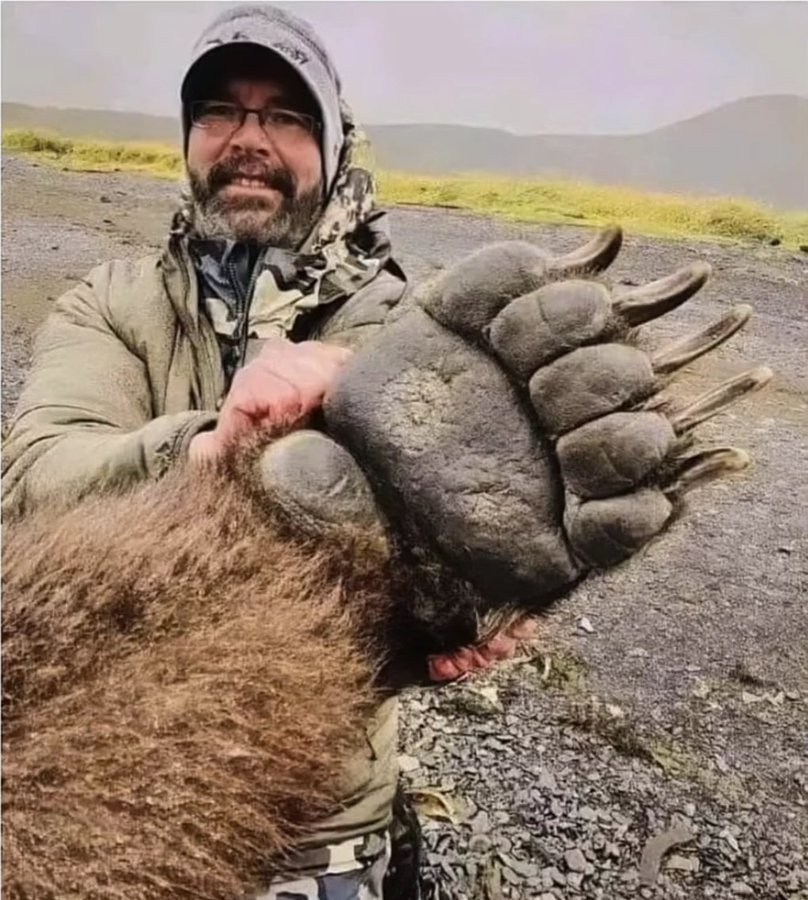 VertigoWarrior's tweet photo. 10. The size of a grizzly bear paw compared to a person https://t.co/xdtwsVnr2K