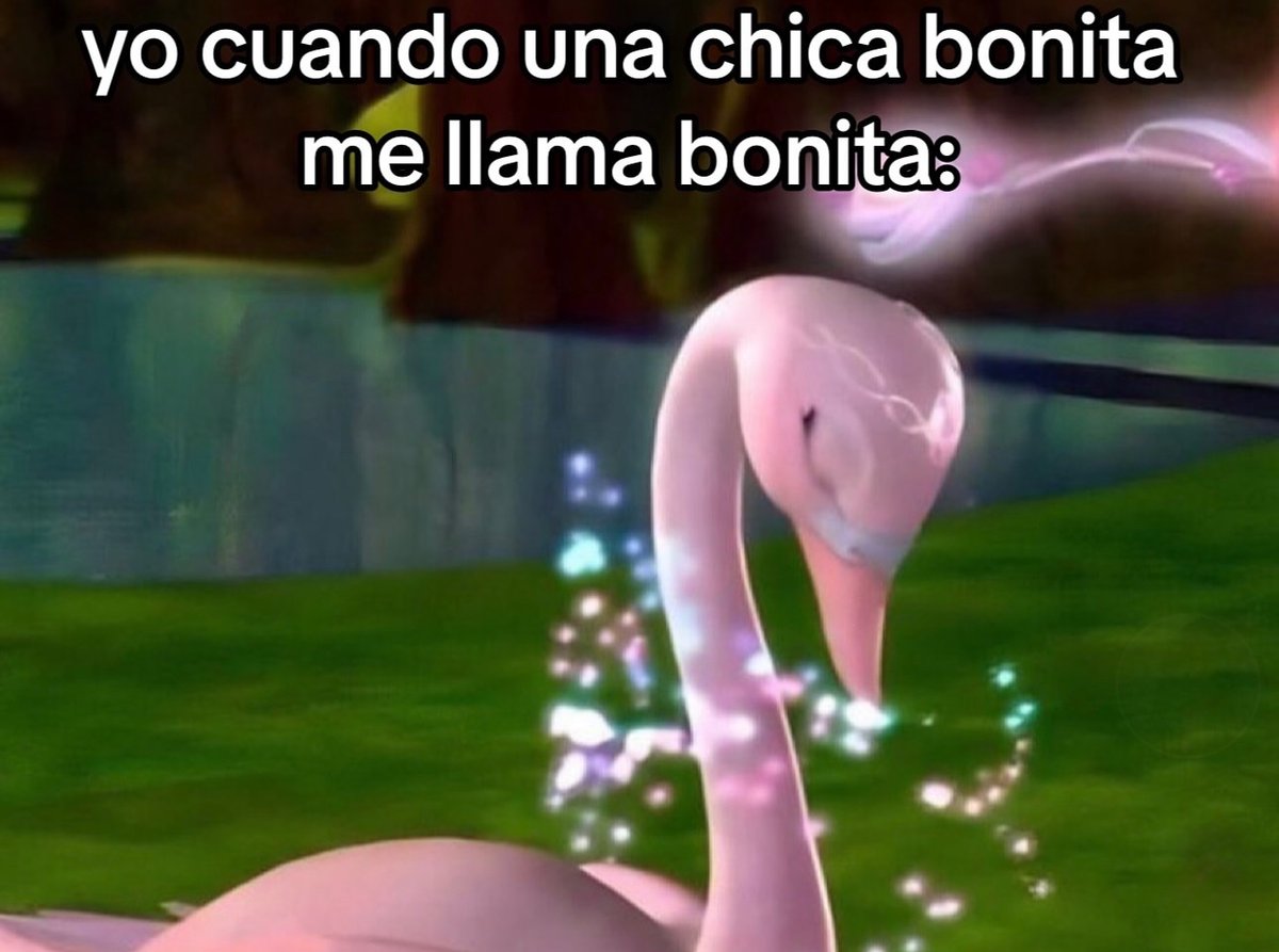 YO