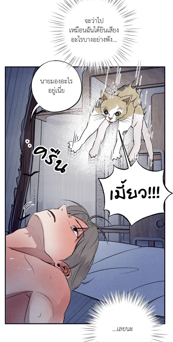 Bljm425's tweet photo. เซ็กให้มันรู้ไปเลย🤣🤣🤣🙀
#Unsleep 
#BL https://t.co/ldREtWNGPY