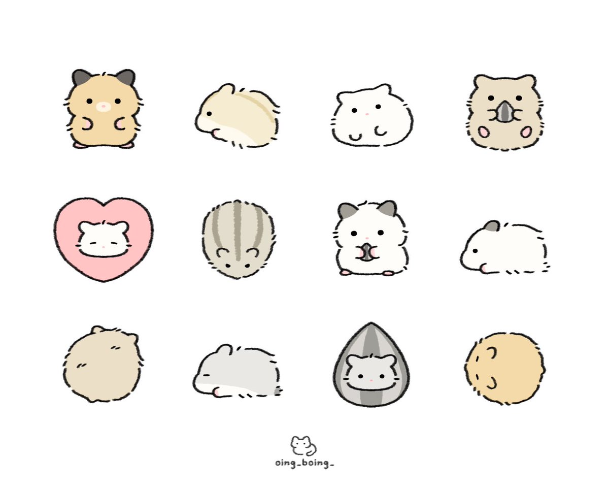 세계 햄스터의 날🐹