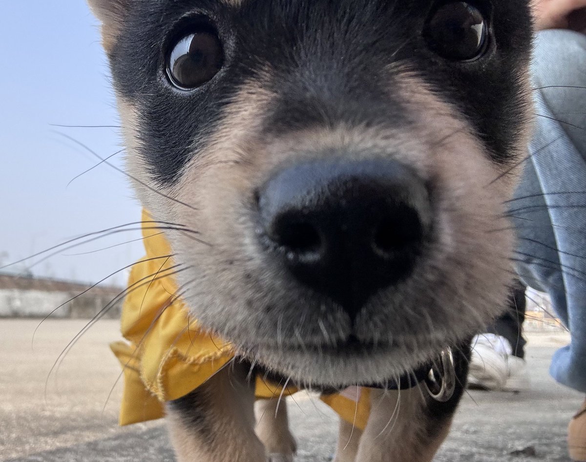 정신이 드세요 누님?