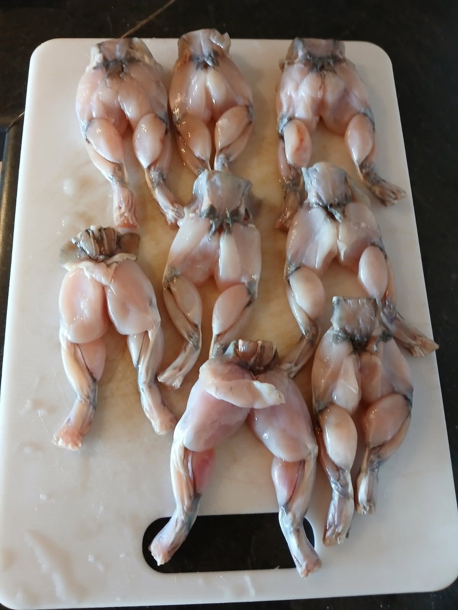 BrPope76's tweet photo. Kermit is tasty👌 https://t.co/PkQZxPaJZa
