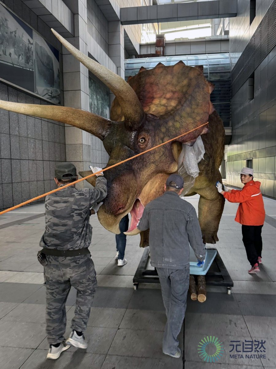 Photo Ops of Triceratops Head!
Ready for show in Hangzhou, China now!!