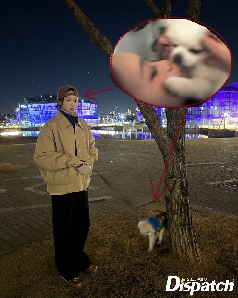 proper_post's tweet photo. @purinzmedia #chaewon #김채원 https://t.co/jr388yI0cC