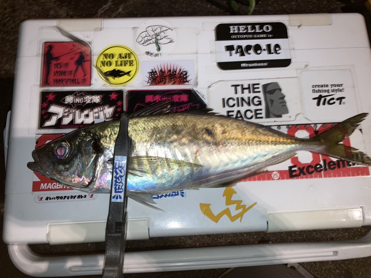 namecking41's tweet photo. 久々アジング
良型メバルそこそこ釣れるも
自分はアジ釣れず😢
後から来た釣友はサクッと😟
久々にええアジ見た😂

#アジング
#広島アジング https://t.co/3fiM5zTdBR