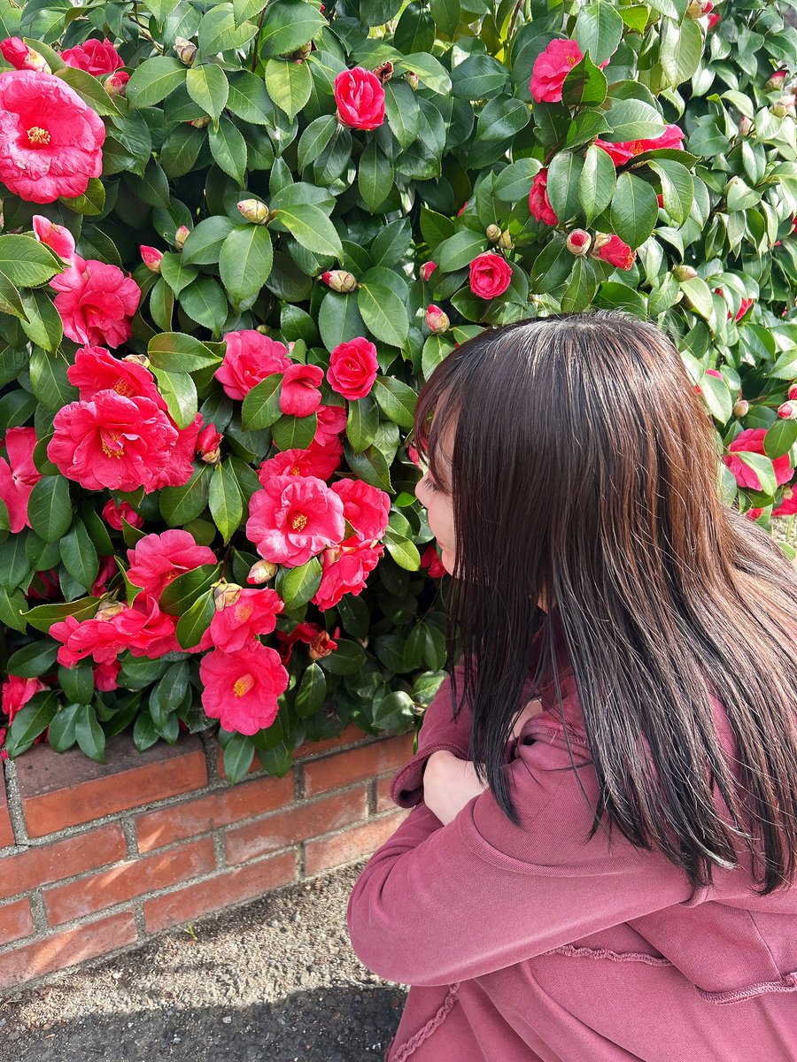 riu_rosetta's tweet image. 春にしかできないことをしたいなあって🌸①お花見をする②春のお花の香りをかぐ ③春の食材を楽しむ はコンプリートできた✨️
