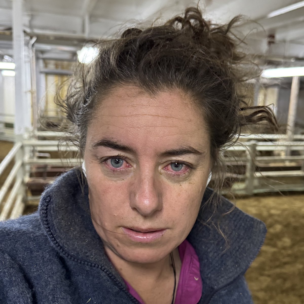 🐑🚢 is by no means glamorous! It’s dirty &amp; hard work especially to ensure animal welfare comes first. If only those people against the trade knew the hard yards and dedication put in from so many people right throughout the supply chain from our buyers to in market meeting ESCAS