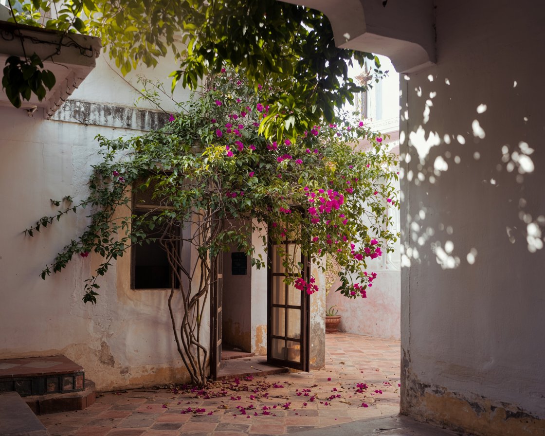 Everyone who loves:

• Traditional Indian homes
• Courtyard houses
• Old-style architecture
• Calm and earthy interiors
• Village-style living
• Simple, self-sufficient life
• Nature-inspired design

I hope you find my account!