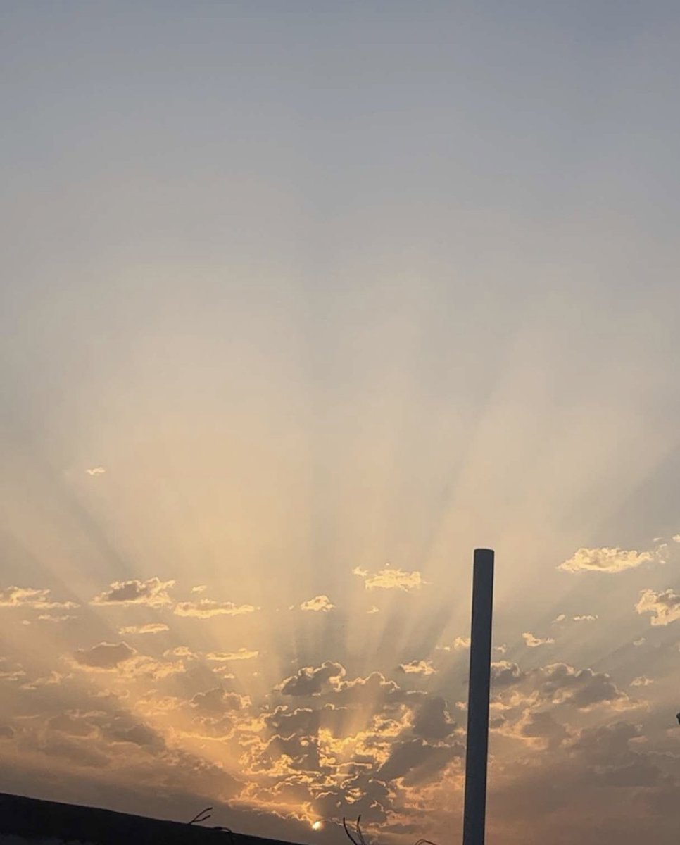 حسنه الشهري tweet media