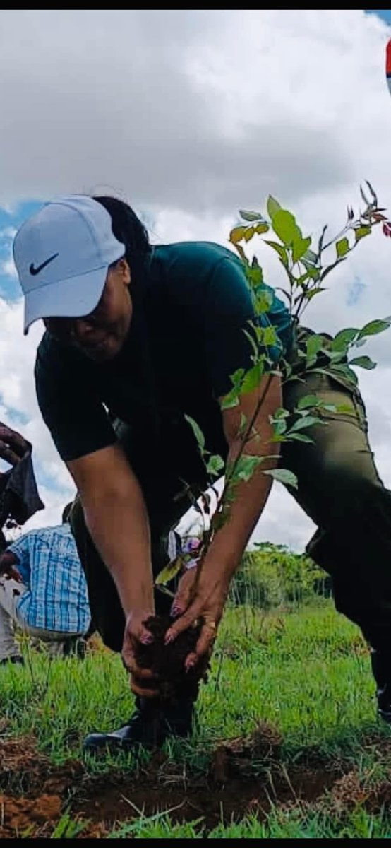 kate_kirui's tweet photo. Have you planted this Rainy season?? If not call me usup we go planting a trees!
#trees #planting #ClimateAction #15billion https://t.co/HQfCj3KB4n