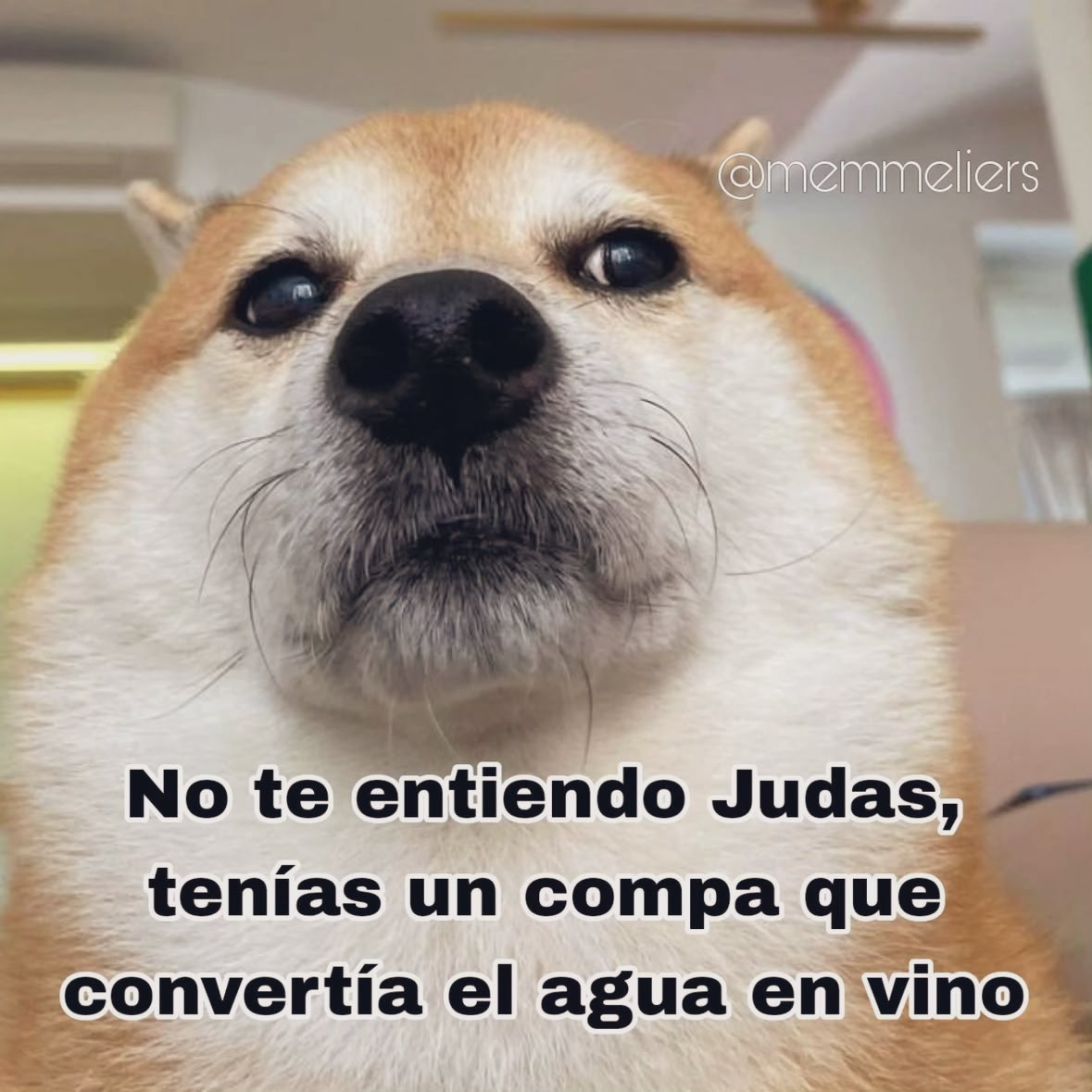 𝘿𝘼𝙋𝙃 tweet media