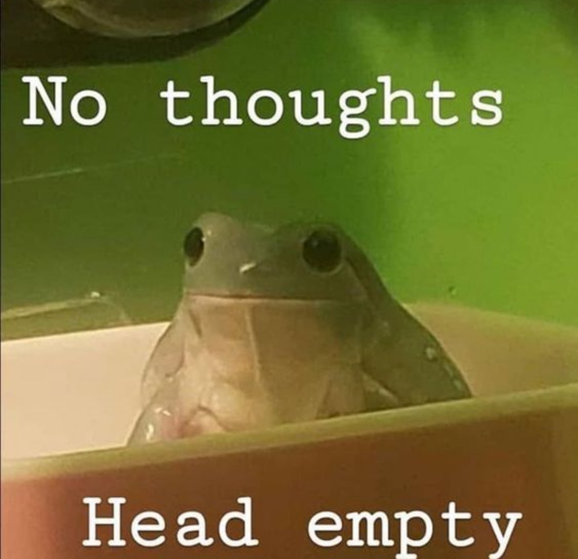RespectfulMemes's tweet photo. https://t.co/icGOEKXsz5