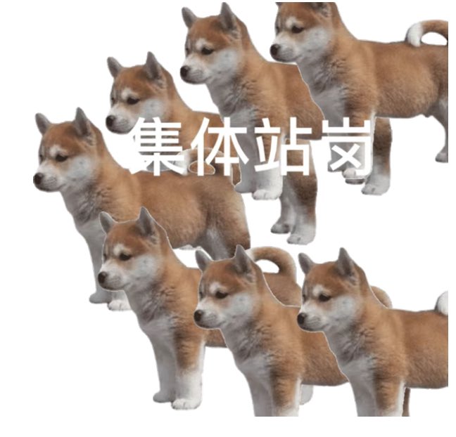 付 tweet media
