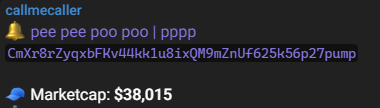 4AM_Channel's tweet photo. 🚨 VIP BOT called $PPPP - pee pee poo poo early at just $38K MC 

Now it has pumped at $2.7M+ 🚀 — that's a 72x move!

Catching gems before the hype 🔥

💎 VIP hits different

#Solana #CryptoGains #4AMVIPBOT #AlphaCaller #PPPP https://t.co/A9XhFUkr0I