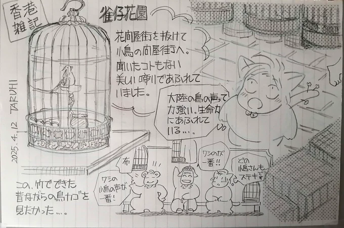 【TARUHI さんぽ】香港。絶対行きたかった小鳥問屋街。美しい声で溢れていました。大切に大切にされている小鳥たちは、おじさんたちのお姫様みたいだと思いました😄あ、もちろん「生餌」の販売量も半端なかったです。#香港旅 
