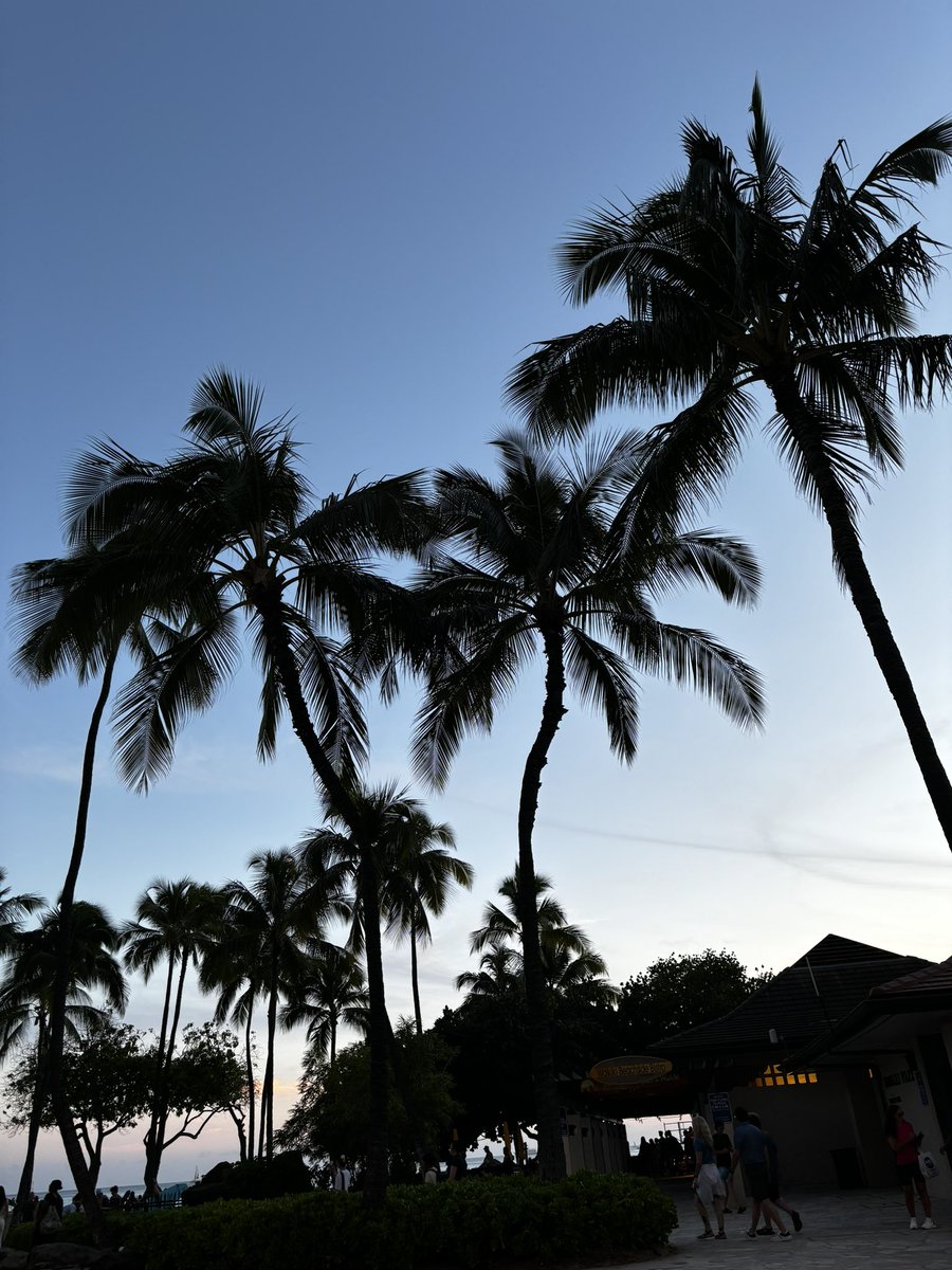 danniiii_10's tweet photo. gonna leave this here ๐ #missinghawaii https://t.co/ujmgYpbBER