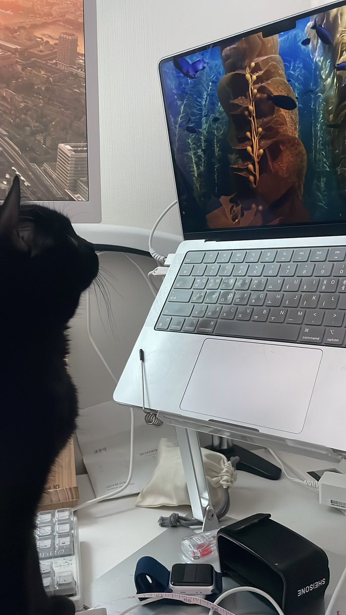 Coding_Butler's tweet image. 가성비 최고 놀이가 가까운 곳에 있었잖아..?