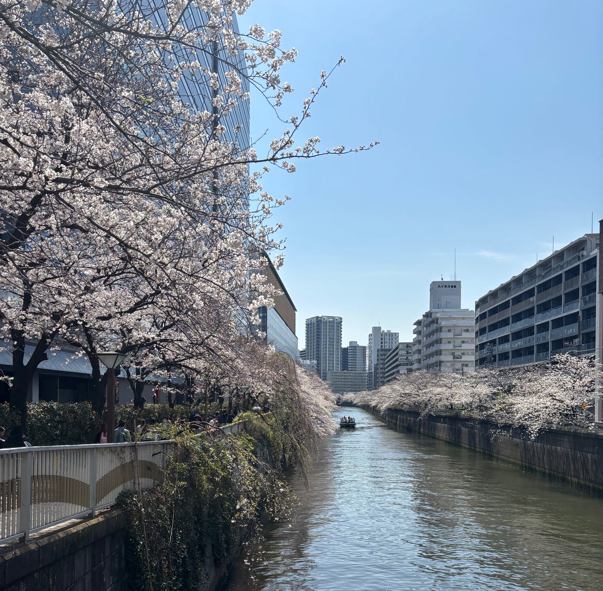 あれから1週間♫早いですね💕︎
2025.4.5@東京🌸目黒カフー🎙
交流会ライブ🎤

写真からアニメ風コラージュ画像にしてみました🌈

リアルでお会いできた方
配信で聴いてくださった方
ありがとうございました🎀

主催のシナノさん、タカリンさんありがとう🙏 
次の9月6日もぜひ、参加させてください✨