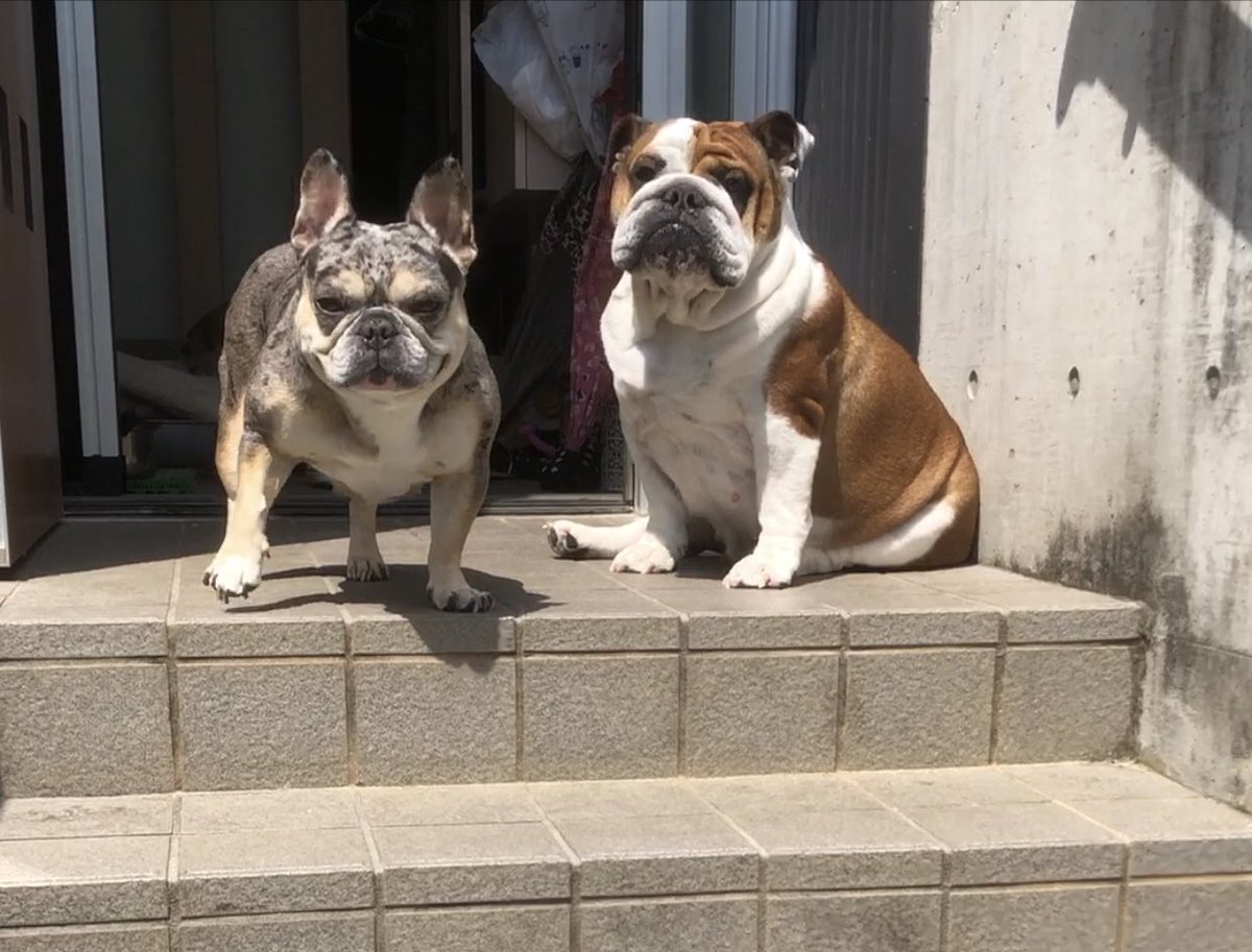 kawabe244's tweet photo. きょうのみんな。 https://t.co/DZHKPRKT8y